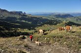 112 Scendiamo sul sentiero 527 verso il Rifugio Zallinger